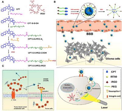 Reactive oxidative species (ROS)-based nanomedicine for BBB crossing and glioma treatment: current status and future directions